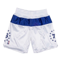 Mitchell & Ness Philadelphia 76ers 2003-04 Men Shorts White