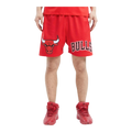Pro Standard NBA Chicago Bulls Logo Men Mesh Shorts Red