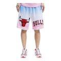 Pro Standard NBA Chicago Bulls Pro Team Ombre Men Shorts Blue/White/Pink