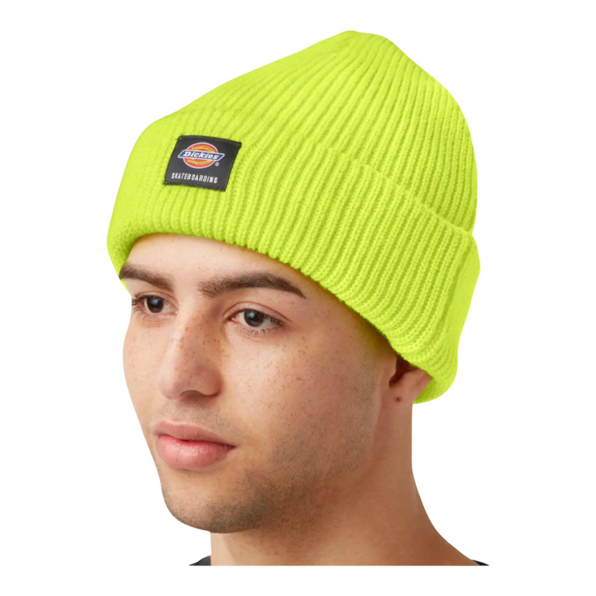 Dickies Skateboarding Cuffed Beanie